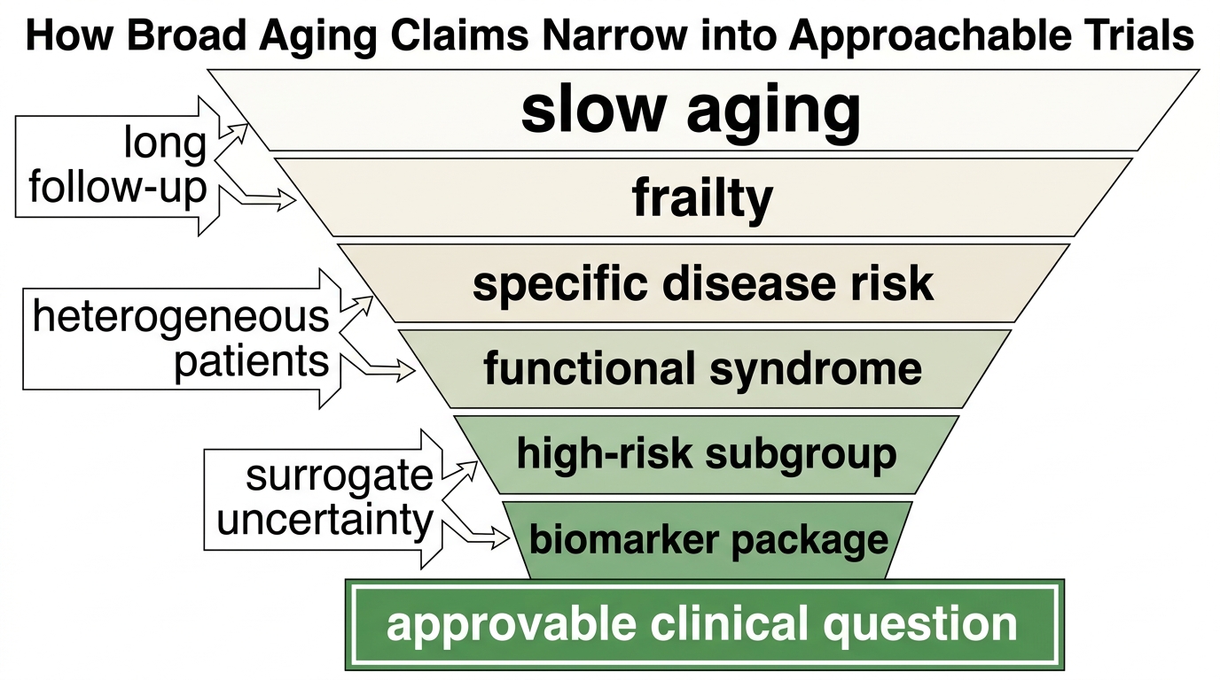 Endpoint funnel showing a broad aging claim narrowing into disease labels, functional syndromes, biomarker packages, and smaller high-risk populations that regulators can actually evaluate.