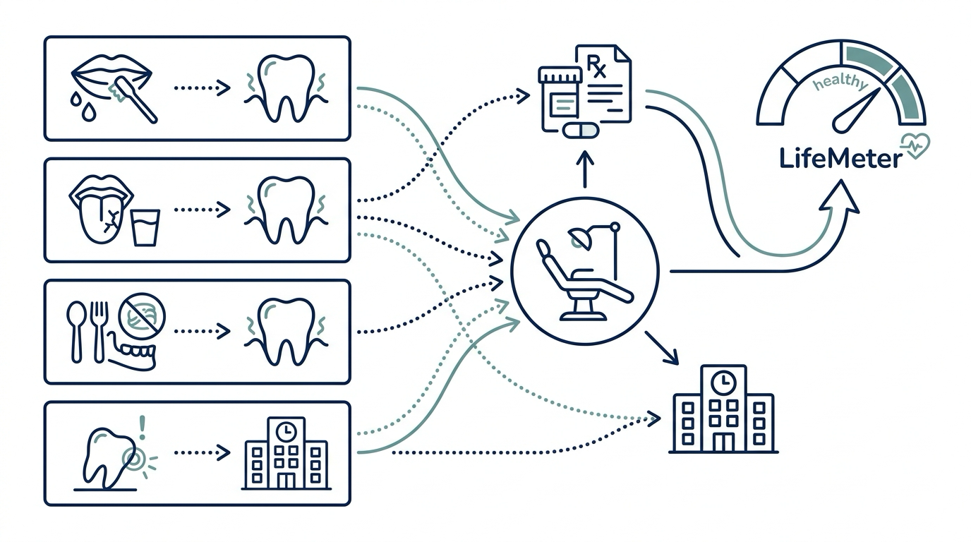 Decision map connecting bleeding gums, dry mouth, chewing difficulty, and tooth mobility to appropriate dental and medical follow-up